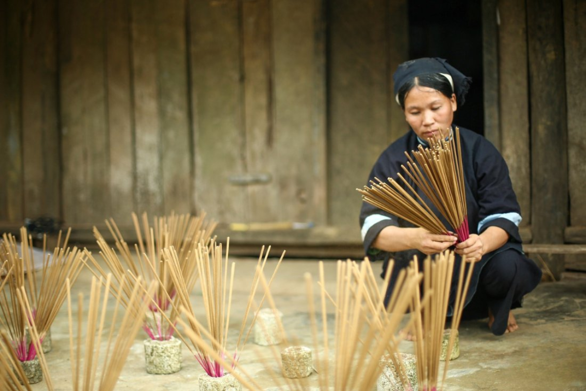 Freshly made incense sticks drying in the sun at Phia Thap village